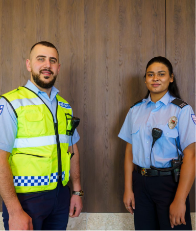 Health Sector Security